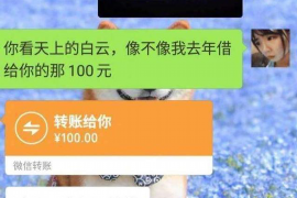 宣威要账公司更多成功案例详情